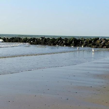 Sunny Bank Westende Zeezicht Middelkerke Eksteriør bilde
