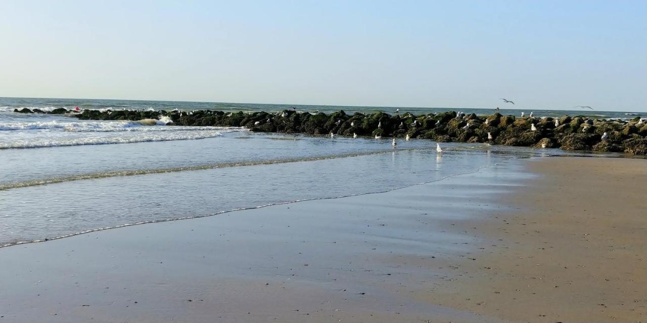 Sunny Bank Westende Zeezicht Middelkerke Eksteriør bilde